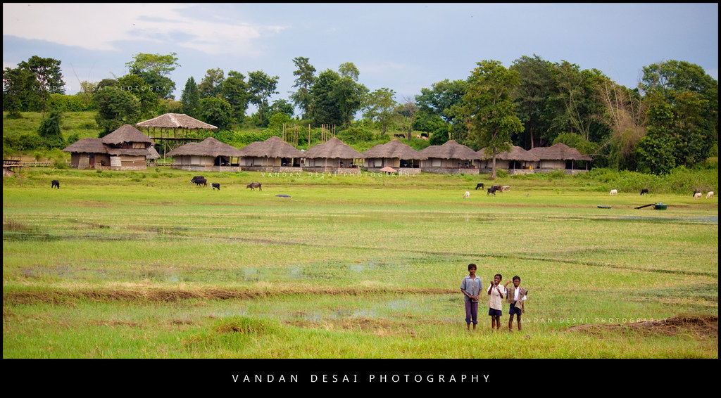 Let these fantastic things happen in Kabini to make you enjoy your life’s&nbsp;adventures!